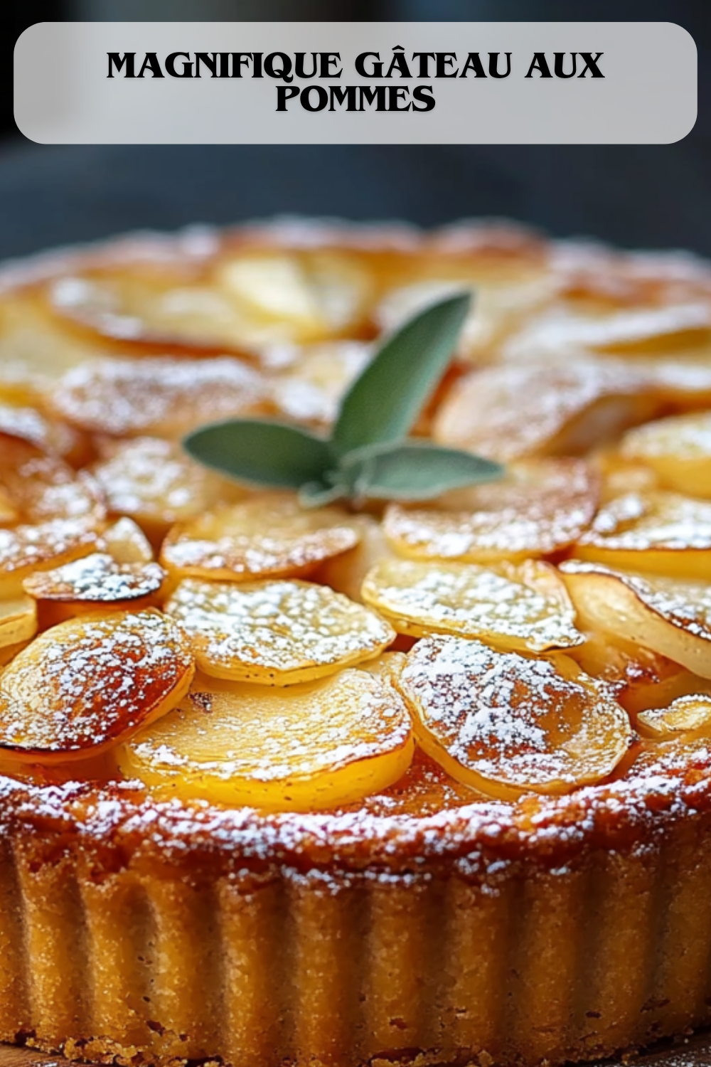 MAGNIFIQUE GÂTEAU AUX POMMES